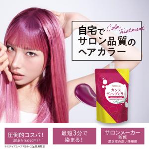 Tottimo!（トッティモ） ディップカラー ラベンダー 500g ヘアカラー用