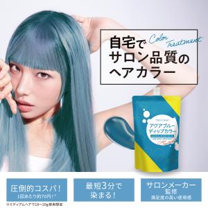 Tottimo!（トッティモ） ディップカラー ラベンダー 500g ヘアカラー用