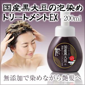 国産黒大豆の泡染めトリートメントEX (PB)