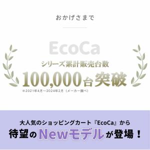 ショッピングカート 折りたたみ 前押し おしゃ...の詳細画像1