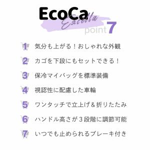 ショッピングカート 折りたたみ 前押し おしゃ...の詳細画像2