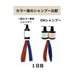 白髪染めを続ける40〜50代のための、 色と頭...の詳細画像5