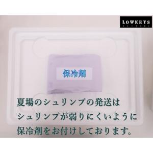 【送料無料!】ターコイズシャドー Aクラス 3...の詳細画像5