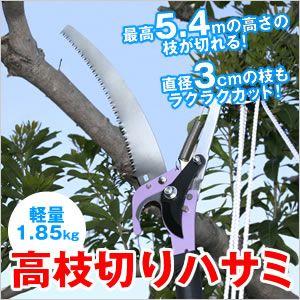 5メートルの高さまで届く　高枝切りハサミ TA-11