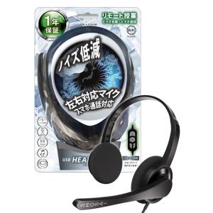 ヘッドセット USB テレワークも快適イヤホンマイク ヘッドホンマイク付き