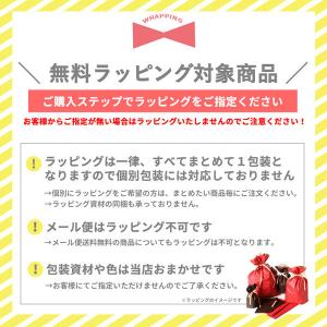 バレエ衣裳売り切りセール/ページ掲載の在庫限り...の詳細画像4