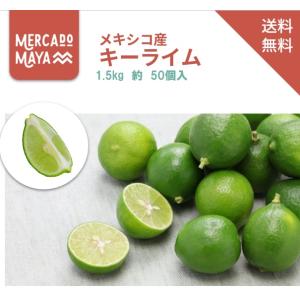 【送料無料】キーライム　1.5kg  約50個入り メキシコ産新鮮ライム 輸入品 Fresh Lime 1.5kg Mexican Lime 敬老の日 お彼岸｜メルカドMaya