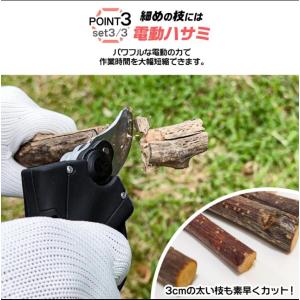 高枝切りバサミ チェーンソー 高枝切り 電動ハ...の詳細画像4