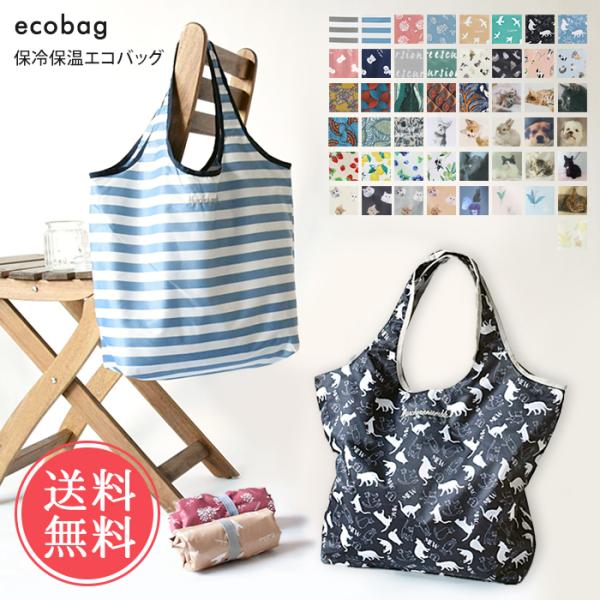 保冷保温コンパクトエコバッグ エコバッグ 保冷 保温 レジカゴ 折りたたみ メール便送料無料