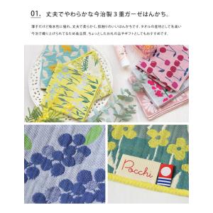 今治製 3重ガーゼハンカチ pocchi 今治...の詳細画像2