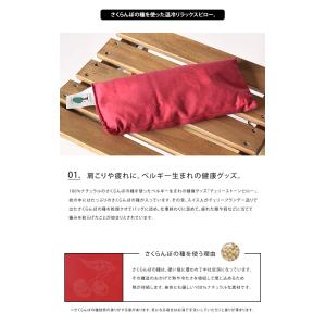 ホットパック INATURA チェリーストーン...の詳細画像1