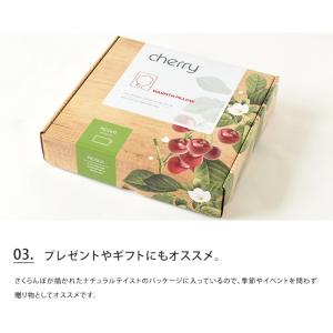 ホットパック INATURA チェリーストーン...の詳細画像3