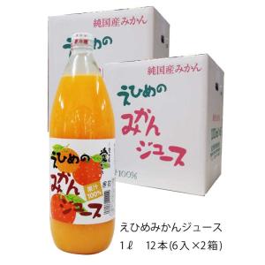 みかんジュース 愛媛 伯方果汁 えひめのみかんジュース 瓶 １Ｌ まとめ買い 6入×2箱  計12本 ミカンジュース 蜜柑ジュース