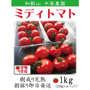 12月より出荷 フルーツトマト ミニトマト 和歌山 中居農園 ミディ