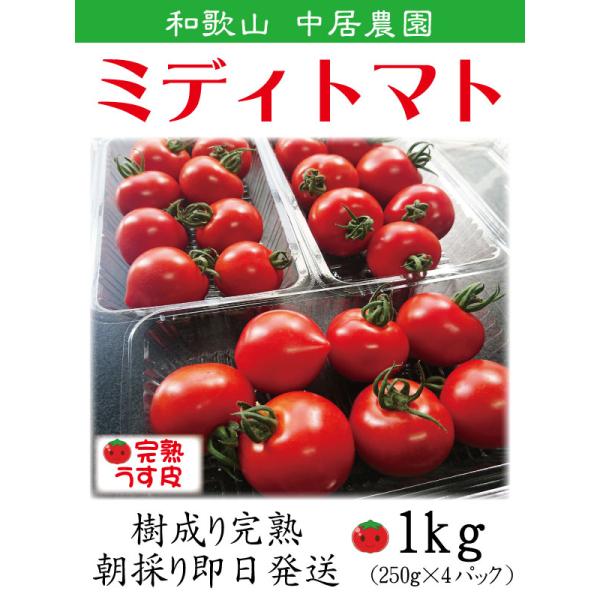 12月より出荷 フルーツトマト ミニトマト 和歌山 中居農園 ミディトマト 1kg 250g×4パッ...