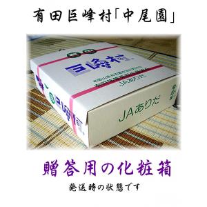 巨峰 ぶどう 種あり 贈答用 ギフト 和歌山県...の詳細画像2