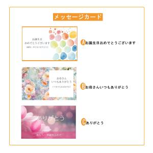レディース 長財布 本革 長財布 レディース ...の詳細画像1