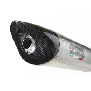 TRIUMPH DAYTONA 675 06-12年 カーボンフレームカバーセット : 輸入