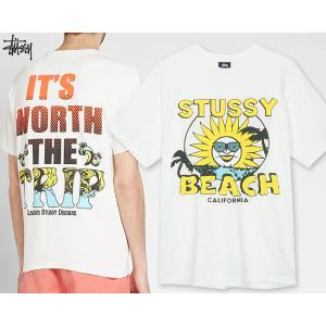 ステューシー Tシャツ STUSSY WORTH THE TRIP PIG. DYED TEE NATURAL 1904361 ピグメント加工｜ltd-online