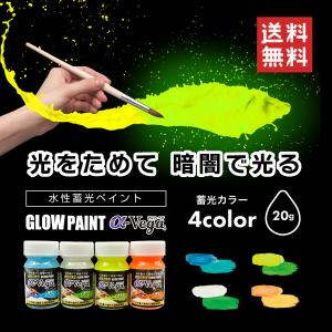 蓄光塗料 蛍光塗料 高発光 夜光 ハンドメイド 夜釣り DIY 20g GLOW PAINT α-Vega