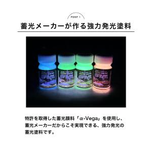 蓄光塗料 蛍光塗料 高発光 夜光 ハンドメイド...の詳細画像1