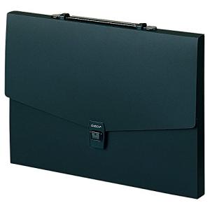 セキセイ アルタートケース黒 ART-602-BK