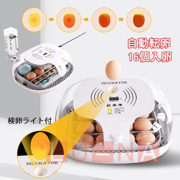 インキュベーター 自動孵卵器 孵化器 検卵ライト付き 自動転卵式 16個入卵 大容量 デジタル表示 ...