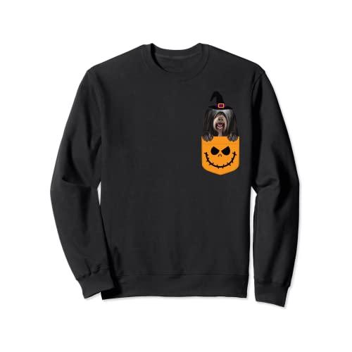 ハロウィン ポケットチベット テリア 怖いジャックOランタン トレーナー