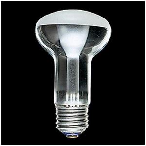 SHARP（シャープ） DL-LA54L LED電球 E26口金 40W形相当 電球色 : 電材