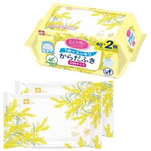 レック(LEC) こころ想い 大人用 からだふき 大判厚手タイプ (30×20cm) 40枚×2P / 丈夫なシートでしっかり拭ける/日本製/無