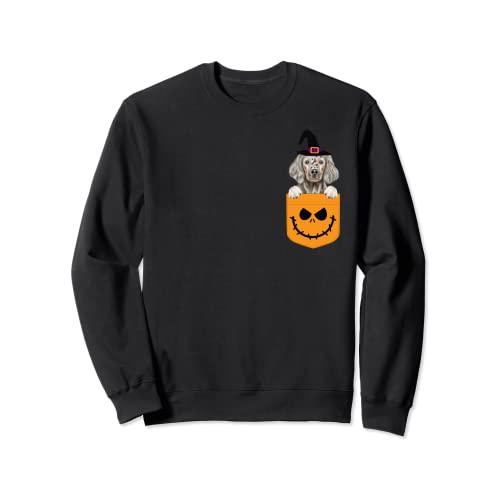 ハロウィン ポケットイングリッシュセッター 怖いジャックOランタン トレーナー
