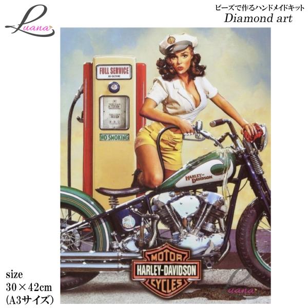 ダイヤモンドアート　0108 ダイヤモンドペインティング　ハンドメイドキット　モザイクアート　レトロ...