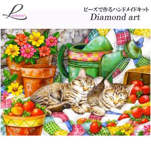 ダイヤモンドアート ダイヤモンドペインティング ハンドメイドキット
