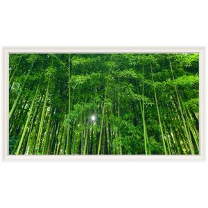 竹林 ウォールステッカー 日本製 壁紙 森林 バ...の商品画像