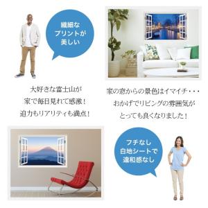 ウォールステッカー 窓枠 富士山 新幹線 花 ...の詳細画像3