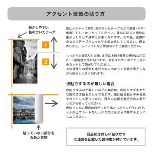ウォールステッカー 南国 ビーチ 日本製 MU...の詳細画像4
