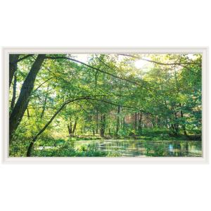 ウォールステッカー 森林 日本製 木 湖 植物 自然 壁紙 ポスター シール 絵画 お風呂 浴室 DIY リフォーム リメイク