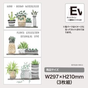 ウォールステッカー 植物 プランツ MU3 日...の詳細画像2