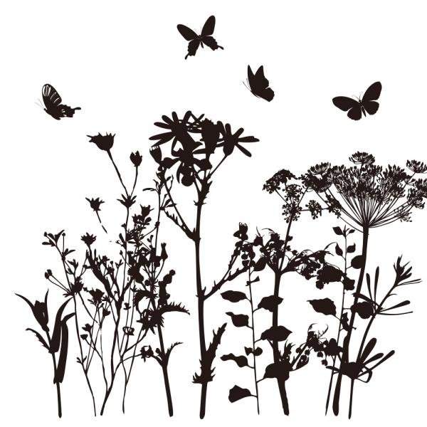 草花 植物 ウォールステッカー 日本製 MU3 全20色 モノトーン ブラック フラワー リーフ グ...