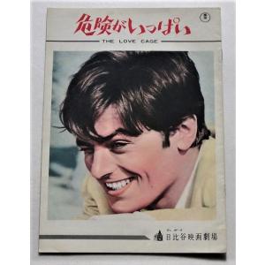 アラン・ドロン▽太陽がいっぱい：初公開版パンフレット／モーリス