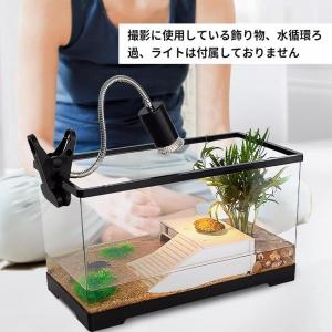 亀 水槽 大きい タートルタンク カメ用水槽 ...の詳細画像1