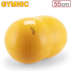 ニシ・スポーツ NISHI バランスボード トレーニング用品 バランス