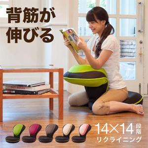 ラボネッツ 骨盤座椅子 凛座 骨盤 0070-2391 骨盤矯正 椅子 座椅子