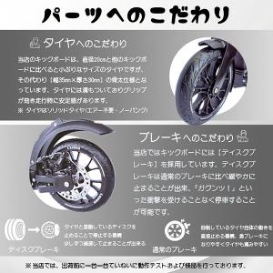 S.DarWin キックボード キックスクータ...の詳細画像3