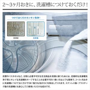 Washing Craftsman(ウォッシン...の詳細画像3