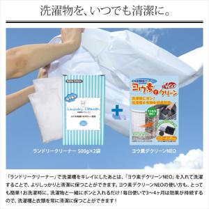Washing Craftsman(ウォッシン...の詳細画像4