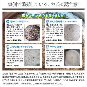 Washing Craftsman(ウォッシン...の詳細画像5