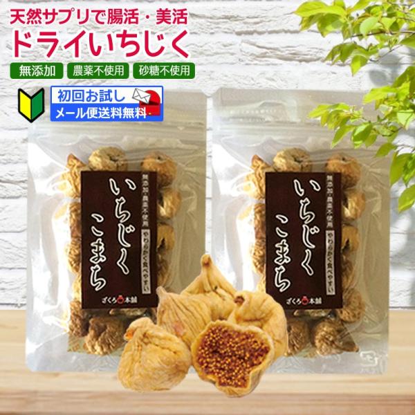 ドライいちじく　初回お試し 無添加・農薬不使用　イラン産イチジク　100g ×2個セット