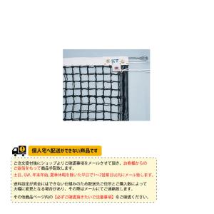 お気に入り テニスコート用品 全天候式ポリエチレンブレード硬式テニスネットサイドポール挿入式 Kt 4265 Kt 4266 寺西喜ネット 設備 備品 Mzconsultores Com Ar