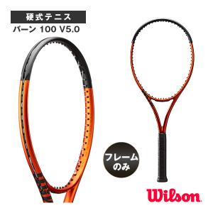 Tecnifibre（テクニファイバー） 硬式テニスラケット T-FIGHT 300